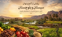 روایتی از گنج پنهانِ سیستان و بلوچستان؛ تلاقیِ دسترنجِ کشاورزان با شاهکارهای طبیعت.